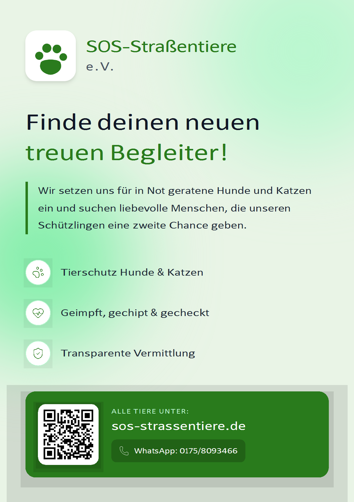 Galeriebild